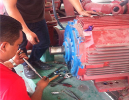 Our Competency